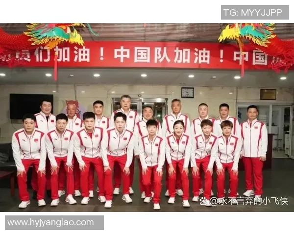 南京乒乓球队灵活性分析及其对其他球队的影响探讨