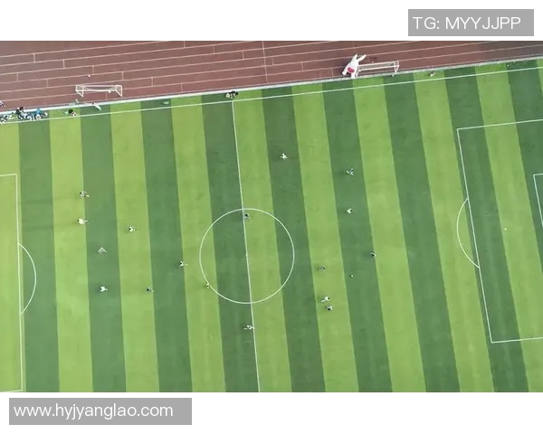 半生雪与足球明星的奇妙交汇展现青春与梦想的碰撞 半生雪与足球明星的奇妙交汇展现青春与梦想的碰撞