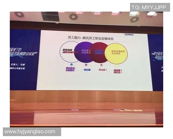 南京篮球队的控制革新探索与发展路径分析